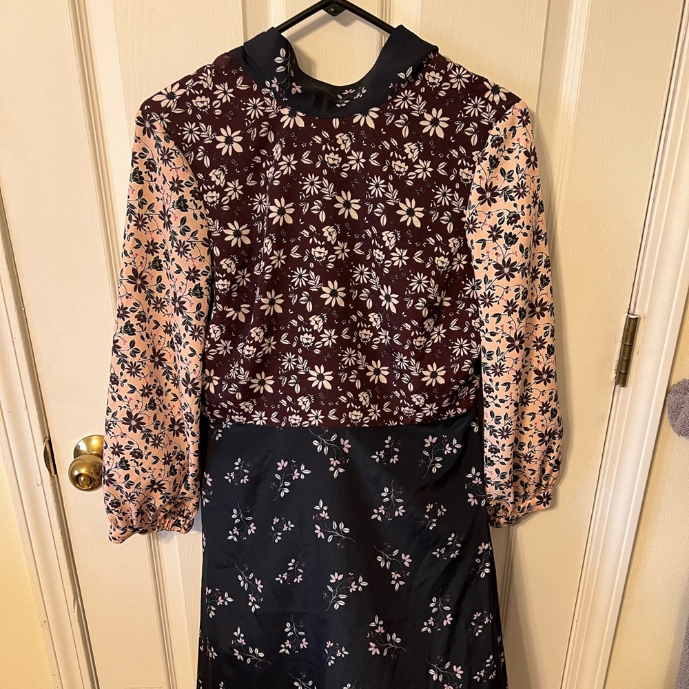 1901 dress